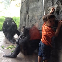 Photo taken at Houston Zoo by Sam S. on 6/16/2013