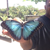 Photo taken at The Butterfly Farm by Leanne A. on 8/17/2014