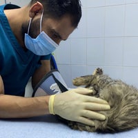 Foto tirada no(a) Alhamra Pet Care Clinic por Hanan🧜🏻‍♀️ em 4/2/2022