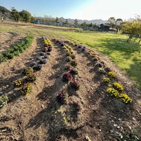 Photo taken at 鳴門ウチノ海総合公園 by Koji I. on 3/28/2023