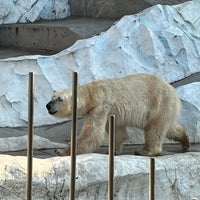 Photo taken at Polar Bear &amp;amp; Seal Oceans by Yuki T. on 2/4/2023