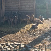 Photo taken at Tbilisi Zoo | თბილისის ზოოპარკი by Suliman on 10/26/2022