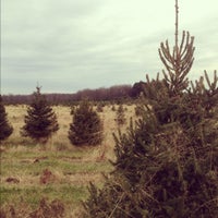 Wilbert S Tree Farm 1325 Salt Rd
