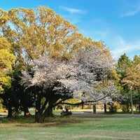 Photo taken at Tokorozawa Aviation Memorial Park by Akihiko O. on 4/10/2024