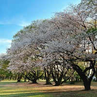 Photo taken at Tokorozawa Aviation Memorial Park by Akihiko O. on 4/10/2024