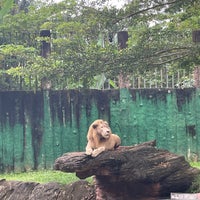 Photo taken at Zoo Melaka by Ikhwan A. on 9/20/2022