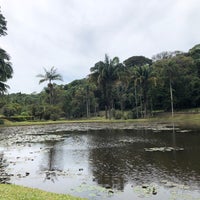 Photo taken at Botanical Garden of São Paulo by Vivianne V. on 11/15/2021