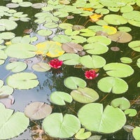 Photo taken at Jókai Park by Kata 🦙 on 7/9/2018