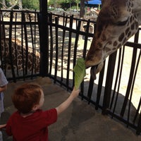 Photo taken at Giraffe African Exhibit by Kevin M. on 4/13/2013