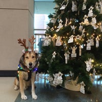 Das Foto wurde bei Akron-Summit County Public Library: Main Branch von Michelle H. am 12/13/2014 aufgenommen