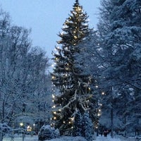 Photo taken at Honkanummen hautausmaa by Virpi V. on 12/23/2014