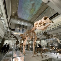 Photo taken at Cambridge University Museum Of Zoology by Up L. on 4/4/2023