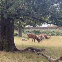Photo taken at Richmond Park Playground by N A. on 7/28/2023