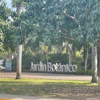 2/19/2022에 Liliana Isabel A.님이 Jardín Botánico Culiacán에서 찍은 사진