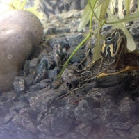 Aveve Garden Center In Ninove