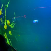 4/18/2021にCherelle C.がRipley&amp;#39;s Aquariumで撮った写真