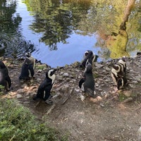 รูปภาพถ่ายที่ Zoo Parc Overloon โดย Wilco H. เมื่อ 6/17/2021