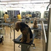 House Of Groomers Makes Waves In Malaysia Jillianngnyinnyin S Blog