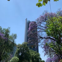 Photo taken at Avenida Paseo de la Reforma by Kevin V. on 3/22/2024