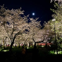 Photo taken at Hirano-Jinja Shrine by めいおう on 4/16/2024