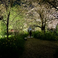 Photo taken at Hirano-Jinja Shrine by めいおう on 4/16/2024