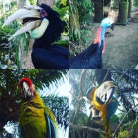 Photo taken at Bali Reptile Park by Андрей П. on 1/19/2017