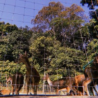 Can You See Mee Picture Of Mini Zoo Taman Teruntum