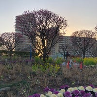Photo taken at 下丸子公園 by K on 3/5/2022