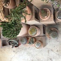 Foto scattata a Cactus Store da Amit G. il 5/29/2016