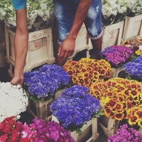 Piața De Flori George Coșbuc Rahova 5 Tips