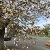 Photo taken at 静内二十間道路桜並木 by おいたくん on 5/7/2022