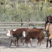 Photo taken at Tanque Verde Ranch by Tanque Verde Ranch on 9/6/2013