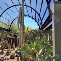 Photo prise au Desert Botanical Garden par Anna L. le5/4/2024