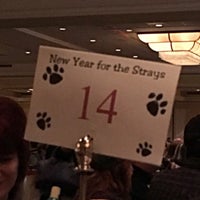 Photo taken at New Year for the Strays Trivia Night by Kara on 1/10/2016