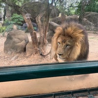 Photo taken at Houston Zoo by Grace K. on 4/26/2024
