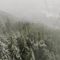 12/18/2019 tarihinde Nk C.ziyaretçi tarafından Grouse Mountain Ziplines'de çekilen fotoğraf