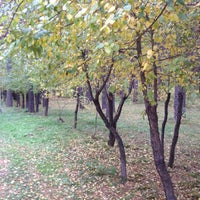 Photo taken at Заельцовский парк by Евгения С. on 9/20/2017