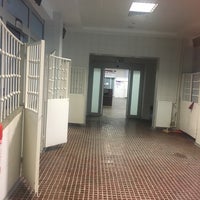 Ankara Universitesi Veteriner Fakultesi 0 312 317 03 15 Ankara