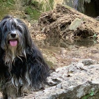 Photo taken at Parco delle Cascate by Marc N. on 8/18/2019