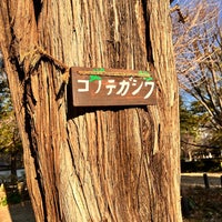 Photo taken at Sugekari Park by Lily on 1/31/2024
