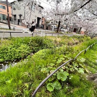 Photo taken at 桜橋 by Lily on 4/4/2024