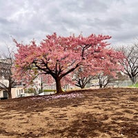 Photo taken at Saigoyama Park by Lily on 2/29/2024