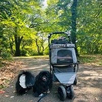 Photo taken at Sakuragaoka Park by Lily on 5/5/2023