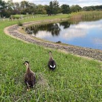 Photo taken at Musashino-no-mori Park by Lily on 10/7/2023