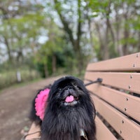 Photo taken at Komabano Park by Lily on 4/11/2024