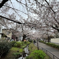 Photo taken at 山下橋 by Lily on 3/21/2023