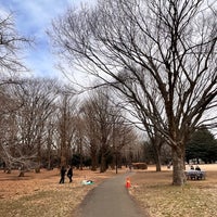 Photo taken at Zelkova Trees by Lily on 1/28/2024