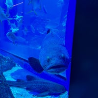 Photo taken at Dubai Aquarium by Natalia S. on 3/16/2024