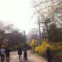 Photo taken at N Seoul Tower by April P. on 4/21/2013