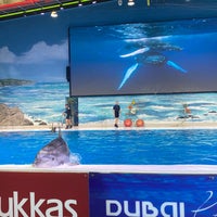 Photo taken at Dubai Dolphinarium by ⚓️ on 2/28/2022